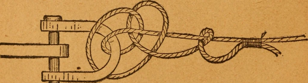 An illustration from Aquatic guide;, 1891, leaf 21