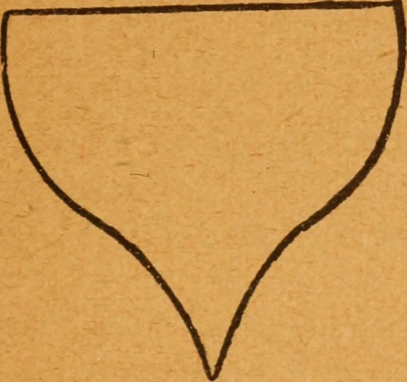 An illustration from Aquatic guide;, 1891, leaf 26