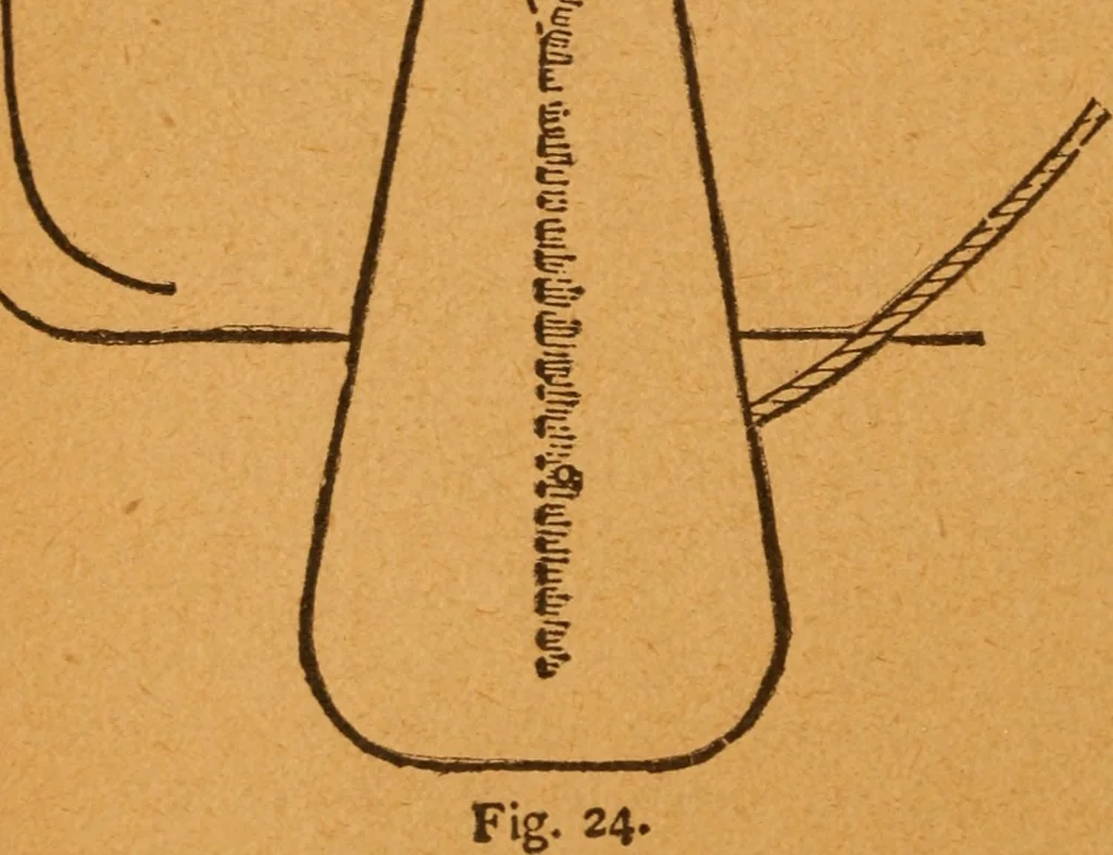 An illustration from Aquatic guide;, 1891, leaf 31