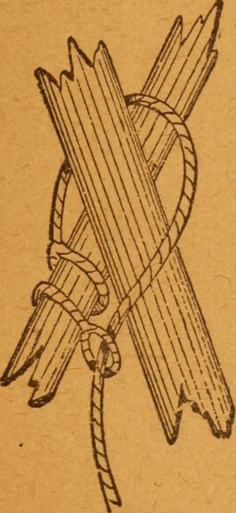 An illustration from Aquatic guide;, 1891, leaf 38