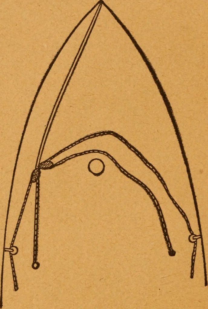 An illustration from Aquatic guide;, 1891, leaf 47