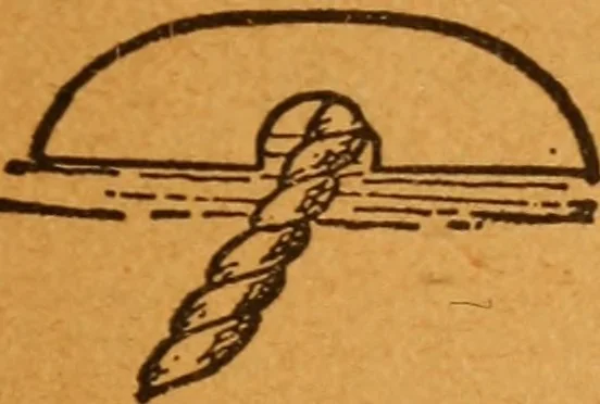 An illustration from Aquatic guide;, 1891, leaf 48