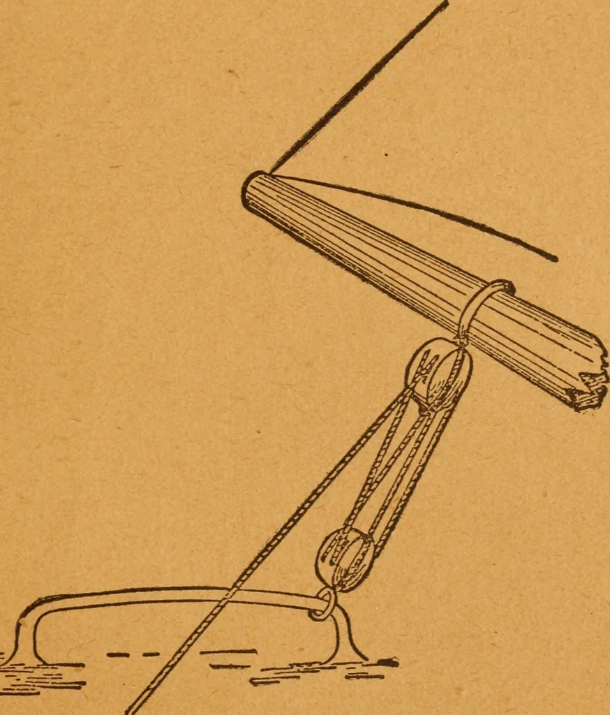 An illustration from Aquatic guide;, 1891, leaf 48