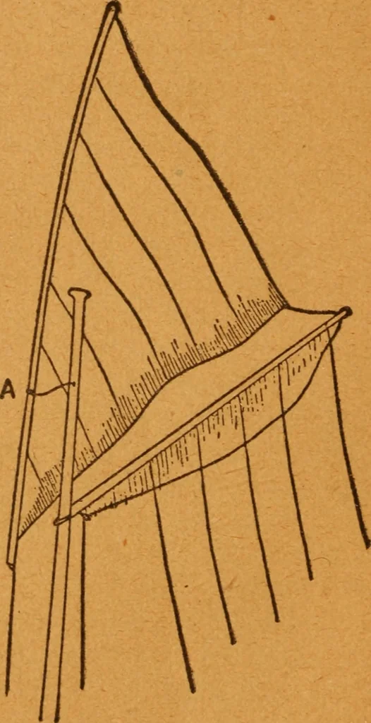 An illustration from Aquatic guide;, 1891, leaf 49
