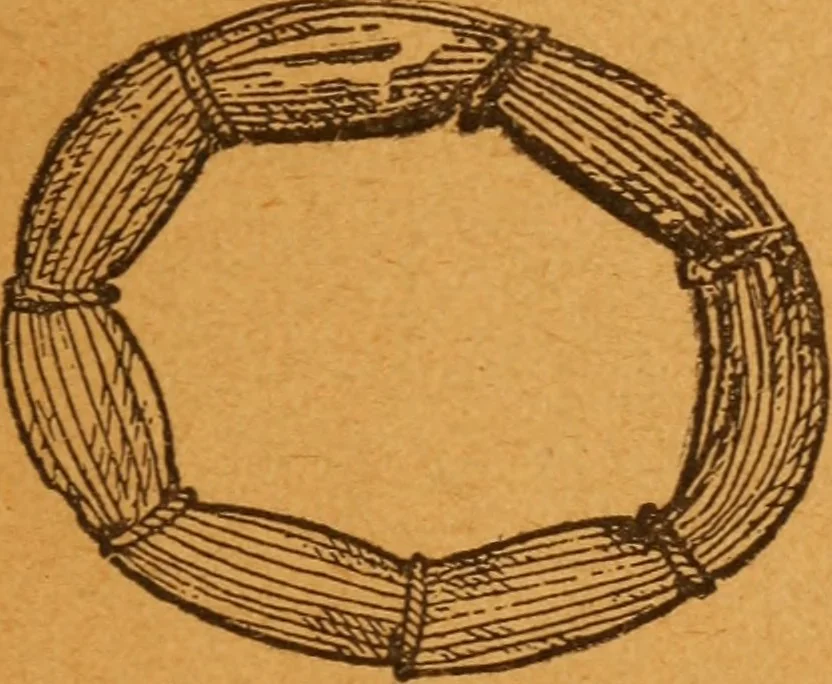 An illustration from Aquatic guide;, 1891, leaf 52