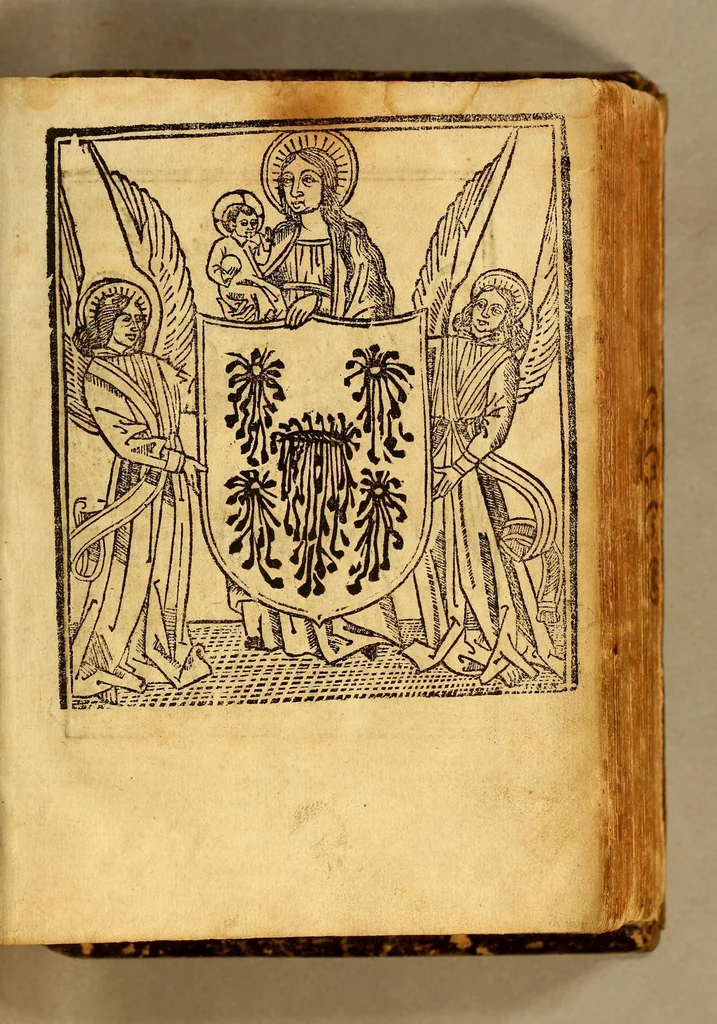 An illustration from Aqui comiença vn vocabulario enla lengua castellana y mexicana,, 1555, leaf 17