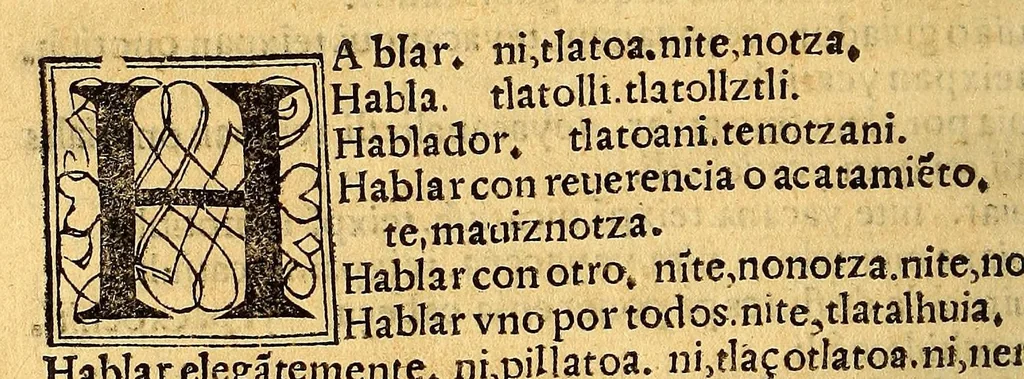 An illustration from Aqui comiença vn vocabulario enla lengua castellana y mexicana,, 1555, leaf 286