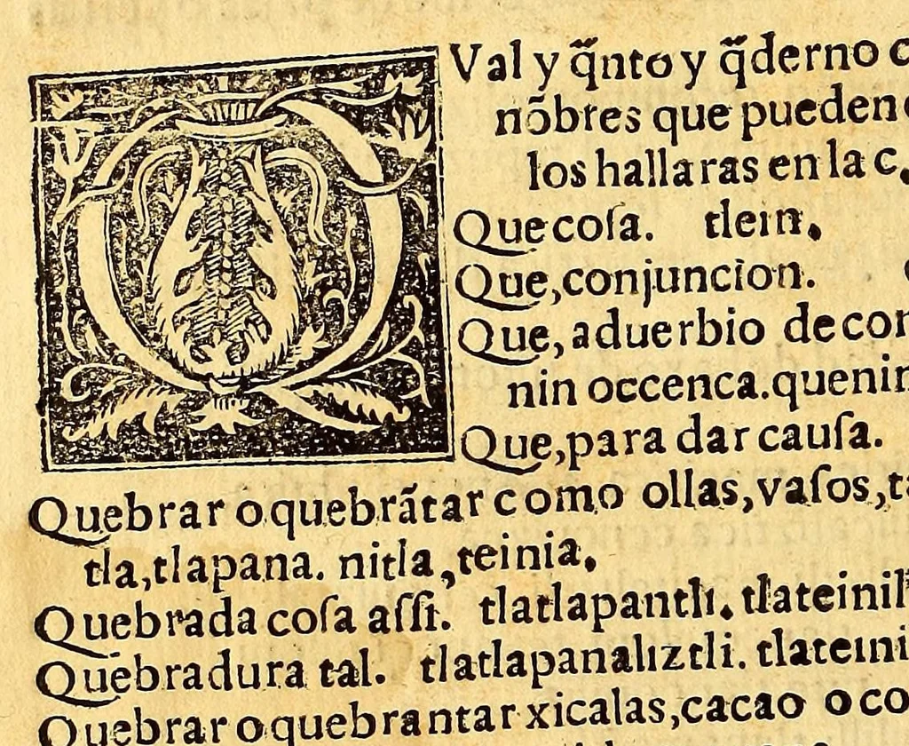 An illustration from Aqui comiença vn vocabulario enla lengua castellana y mexicana,, 1555, leaf 428