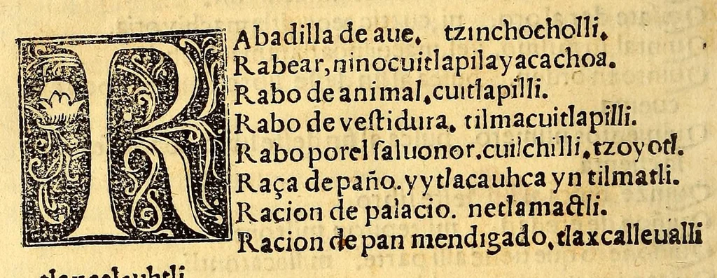 An illustration from Aqui comiença vn vocabulario enla lengua castellana y mexicana,, 1555, leaf 432