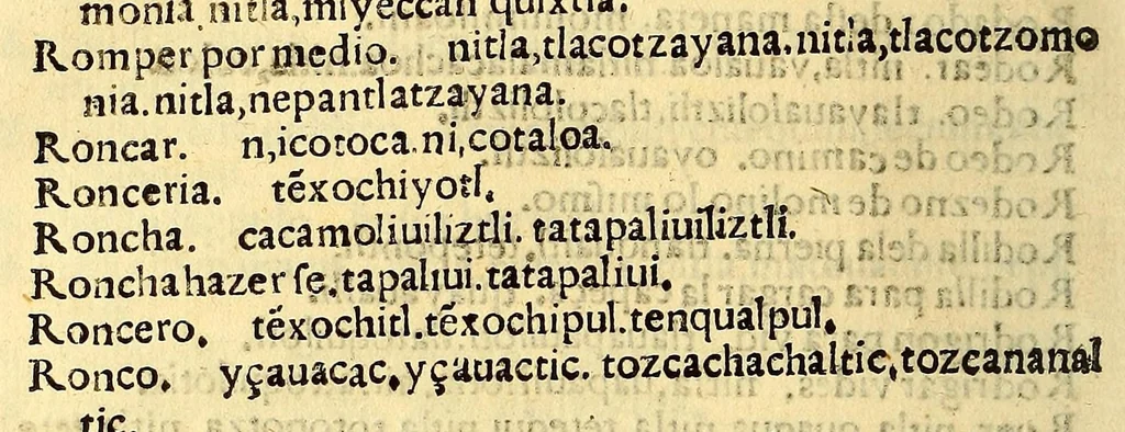 An illustration from Aqui comiença vn vocabulario enla lengua castellana y mexicana,, 1555, leaf 452