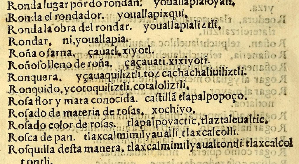 An illustration from Aqui comiença vn vocabulario enla lengua castellana y mexicana,, 1555, leaf 452