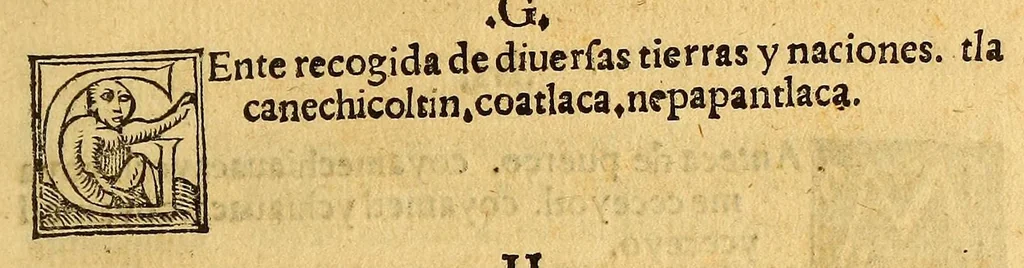 An illustration from Aqui comiença vn vocabulario enla lengua castellana y mexicana,, 1555, leaf 511