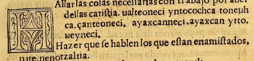 An illustration from Aqui comiença vn vocabulario enla lengua castellana y mexicana,, 1555, leaf 511