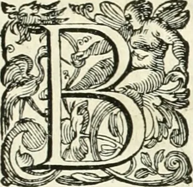 An illustration from Aquilae Austriacae pars secunda, seu, Monarchiae occidentalis tomus octauus : in quo imperatores Austrii a Maximiliano II vsquè ad coronationem Leopoldi Primi Occidentis imperatorem LI elogijs, hieroglyphicis, numismatibus, insignibus, symbolis, imaginibus antiquis ad viuum exhibentur exculpti, & longa historiarum serie exarati : vt nihil relictum sit, quod prisci vel hodierni habeant annales, sed diplomata, leges, indulta, genealogiae, donationes, priuilegia offeruntur congesta : inseruntur et regum principumque imagines, nummi honorarij, castrenses, triumphales, votiui, missiles, &c. qui sanguine, foedere, bello imperatoribus iuncti, occurrunt in opere : subijcitur cuique caesarum appendix symbolica, sacrolegalis, & historicopolitica, in qua symbolis & hieroglyphicis, are affabrè exculptis, Caesares eorumq[ue] gesta pinguntur & explanantur, 1679, leaf 134