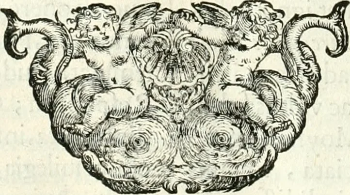 An illustration from Aquilae Austriacae pars secunda, seu, Monarchiae occidentalis tomus octauus : in quo imperatores Austrii a Maximiliano II vsquè ad coronationem Leopoldi Primi Occidentis imperatorem LI elogijs, hieroglyphicis, numismatibus, insignibus, symbolis, imaginibus antiquis ad viuum exhibentur exculpti, & longa historiarum serie exarati : vt nihil relictum sit, quod prisci vel hodierni habeant annales, sed diplomata, leges, indulta, genealogiae, donationes, priuilegia offeruntur congesta : inseruntur et regum principumque imagines, nummi honorarij, castrenses, triumphales, votiui, missiles, &c. qui sanguine, foedere, bello imperatoribus iuncti, occurrunt in opere : subijcitur cuique caesarum appendix symbolica, sacrolegalis, & historicopolitica, in qua symbolis & hieroglyphicis, are affabrè exculptis, Caesares eorumq[ue] gesta pinguntur & explanantur, 1679, leaf 51