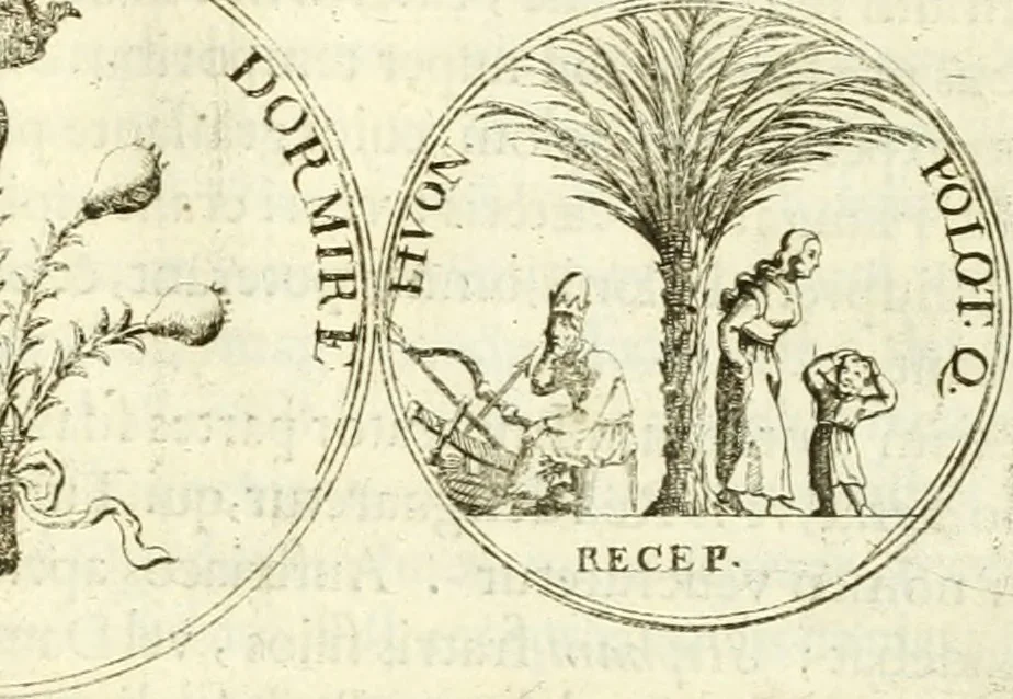An illustration from Aquilae Austriacae pars secunda, seu, Monarchiae occidentalis tomus octauus : in quo imperatores Austrii a Maximiliano II vsquè ad coronationem Leopoldi Primi Occidentis imperatorem LI elogijs, hieroglyphicis, numismatibus, insignibus, symbolis, imaginibus antiquis ad viuum exhibentur exculpti, & longa historiarum serie exarati : vt nihil relictum sit, quod prisci vel hodierni habeant annales, sed diplomata, leges, indulta, genealogiae, donationes, priuilegia offeruntur congesta : inseruntur et regum principumque imagines, nummi honorarij, castrenses, triumphales, votiui, missiles, &c. qui sanguine, foedere, bello imperatoribus iuncti, occurrunt in opere : subijcitur cuique caesarum appendix symbolica, sacrolegalis, & historicopolitica, in qua symbolis & hieroglyphicis, are affabrè exculptis, Caesares eorumq[ue] gesta pinguntur & explanantur, 1679, leaf 70