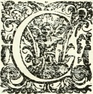 An illustration from Aquila franca sub qua Francones imperatores a Conrado II Salico vsquè ad Lotharium II Occidentis imperatorem XX : elogiis, hieroglyphicis, numismatibus, insignibus, symbolis, imaginibus antiquis ad viuum exhibentur exculpti, & longa historiarum serie exarati : vt nihil relictum sit, quod prisci vel hodierni habeant annales, sed diplomata, leges, indulta, genealogiae, donationes, priuilegia offeruntur congesta : inseruntur et regum principumque imagines, nummi honorarij, castrenses, triumphales, votiui, missiles, &c. qui sanguine, foedere, bello imperatoribus iuncti, occurrunt in opere : accedit cuique Caesarum tractatus sacrolegalis, & historicopoliticus ..., 1679, leaf 12