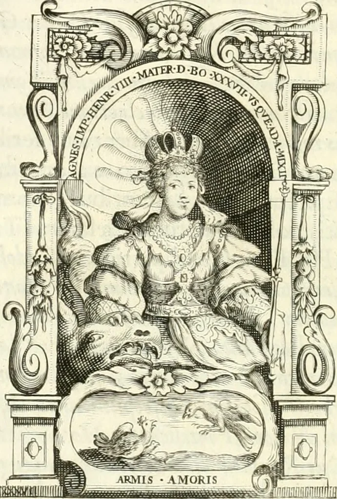 An illustration from Aquila franca sub qua Francones imperatores a Conrado II Salico vsquè ad Lotharium II Occidentis imperatorem XX : elogiis, hieroglyphicis, numismatibus, insignibus, symbolis, imaginibus antiquis ad viuum exhibentur exculpti, & longa historiarum serie exarati : vt nihil relictum sit, quod prisci vel hodierni habeant annales, sed diplomata, leges, indulta, genealogiae, donationes, priuilegia offeruntur congesta : inseruntur et regum principumque imagines, nummi honorarij, castrenses, triumphales, votiui, missiles, &c. qui sanguine, foedere, bello imperatoribus iuncti, occurrunt in opere : accedit cuique Caesarum tractatus sacrolegalis, & historicopoliticus ..., 1679, leaf 137