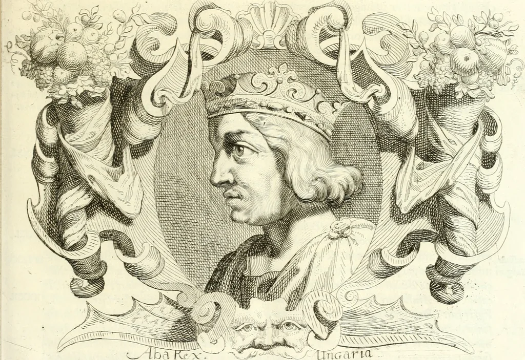 An illustration from Aquila franca sub qua Francones imperatores a Conrado II Salico vsquè ad Lotharium II Occidentis imperatorem XX : elogiis, hieroglyphicis, numismatibus, insignibus, symbolis, imaginibus antiquis ad viuum exhibentur exculpti, & longa historiarum serie exarati : vt nihil relictum sit, quod prisci vel hodierni habeant annales, sed diplomata, leges, indulta, genealogiae, donationes, priuilegia offeruntur congesta : inseruntur et regum principumque imagines, nummi honorarij, castrenses, triumphales, votiui, missiles, &c. qui sanguine, foedere, bello imperatoribus iuncti, occurrunt in opere : accedit cuique Caesarum tractatus sacrolegalis, & historicopoliticus ..., 1679, leaf 58