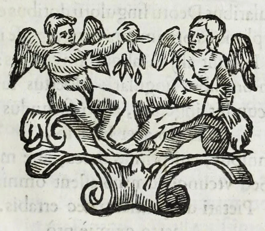 An illustration from Aquila parentalis, sive, Funebris apparatus in funebre comitis Alberti de Grassis Bononiae senatoris, et Collegij Montis alti vice protectoris : eminentissimo ac reverendiss. Principi S.R.E. Cardinal Pallotto, 1663, leaf 29