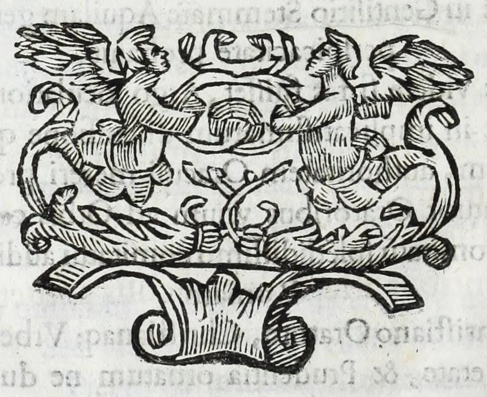 An illustration from Aquila parentalis, sive, Funebris apparatus in funebre comitis Alberti de Grassis Bononiae senatoris, et Collegij Montis alti vice protectoris : eminentissimo ac reverendiss. Principi S.R.E. Cardinal Pallotto, 1663, leaf 32