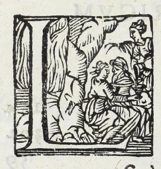 An illustration from Aquila parentalis, sive, Funebris apparatus in funebre comitis Alberti de Grassis Bononiae senatoris, et Collegij Montis alti vice protectoris : eminentissimo ac reverendiss. Principi S.R.E. Cardinal Pallotto, 1663, leaf 72