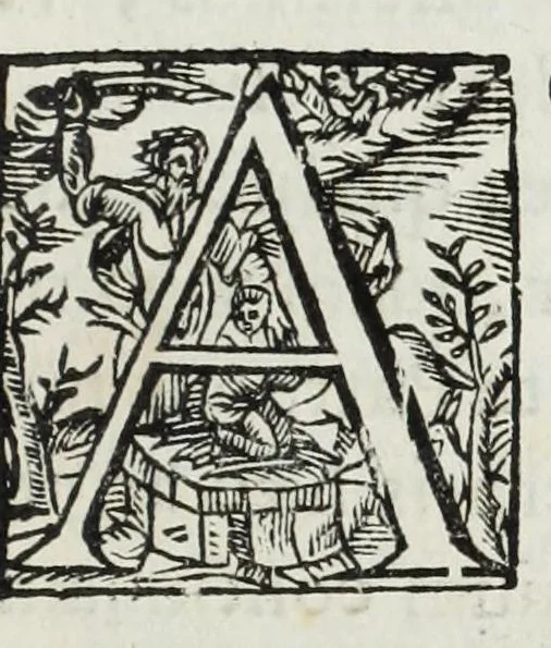 An illustration from Aquila parentalis, sive, Funebris apparatus in funebre comitis Alberti de Grassis Bononiae senatoris, et Collegij Montis alti vice protectoris : eminentissimo ac reverendiss. Principi S.R.E. Cardinal Pallotto, 1663, leaf 9
