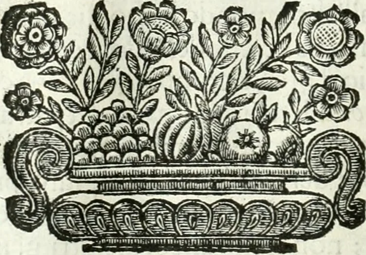 An illustration from Aquila Romana, ouero, Monarchia occidentale da Carlo Magno d'Occidente imperador primo : sino alla coronatione del glorioso Leopoldo Primo : tutti con le loro effigie dal naturale, aggiontiui li geroglifici ed allegorie, inuentione dell' autore, 1679, leaf 107