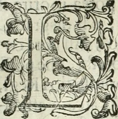 An illustration from Aquila Romana, ouero, Monarchia occidentale da Carlo Magno d'Occidente imperador primo : sino alla coronatione del glorioso Leopoldo Primo : tutti con le loro effigie dal naturale, aggiontiui li geroglifici ed allegorie, inuentione dell' autore, 1679, leaf 124