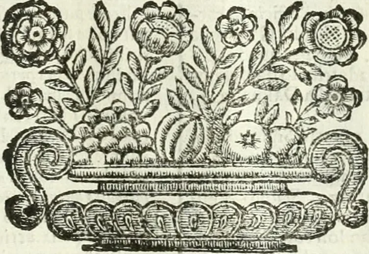 An illustration from Aquila Romana, ouero, Monarchia occidentale da Carlo Magno d'Occidente imperador primo : sino alla coronatione del glorioso Leopoldo Primo : tutti con le loro effigie dal naturale, aggiontiui li geroglifici ed allegorie, inuentione dell' autore, 1679, leaf 146