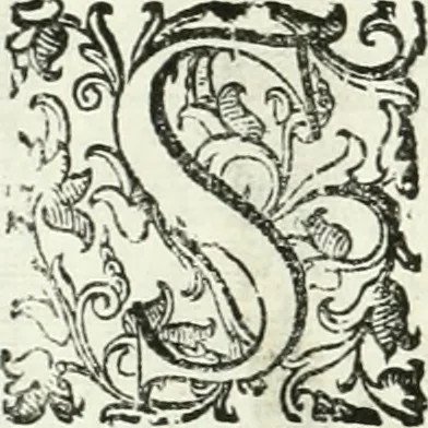 An illustration from Aquila Romana, ouero, Monarchia occidentale da Carlo Magno d'Occidente imperador primo : sino alla coronatione del glorioso Leopoldo Primo : tutti con le loro effigie dal naturale, aggiontiui li geroglifici ed allegorie, inuentione dell' autore, 1679, leaf 149