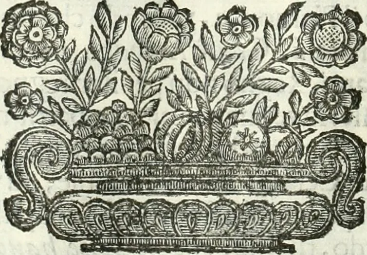 An illustration from Aquila Romana, ouero, Monarchia occidentale da Carlo Magno d'Occidente imperador primo : sino alla coronatione del glorioso Leopoldo Primo : tutti con le loro effigie dal naturale, aggiontiui li geroglifici ed allegorie, inuentione dell' autore, 1679, leaf 153