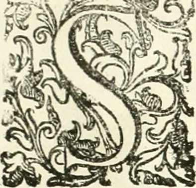 An illustration from Aquila Romana, ouero, Monarchia occidentale da Carlo Magno d'Occidente imperador primo : sino alla coronatione del glorioso Leopoldo Primo : tutti con le loro effigie dal naturale, aggiontiui li geroglifici ed allegorie, inuentione dell' autore, 1679, leaf 169