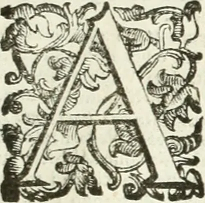 An illustration from Aquila Romana, ouero, Monarchia occidentale da Carlo Magno d'Occidente imperador primo : sino alla coronatione del glorioso Leopoldo Primo : tutti con le loro effigie dal naturale, aggiontiui li geroglifici ed allegorie, inuentione dell' autore, 1679, leaf 172