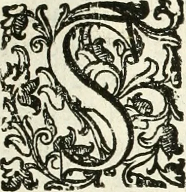 An illustration from Aquila Romana, ouero, Monarchia occidentale da Carlo Magno d'Occidente imperador primo : sino alla coronatione del glorioso Leopoldo Primo : tutti con le loro effigie dal naturale, aggiontiui li geroglifici ed allegorie, inuentione dell' autore, 1679, leaf 20