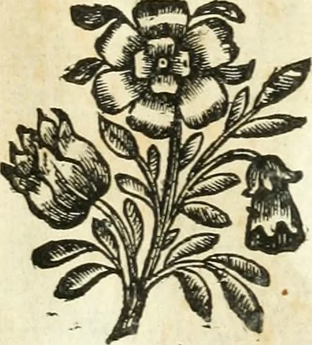 An illustration from Aquila Romana, ouero, Monarchia occidentale da Carlo Magno d'Occidente imperador primo : sino alla coronatione del glorioso Leopoldo Primo : tutti con le loro effigie dal naturale, aggiontiui li geroglifici ed allegorie, inuentione dell' autore, 1679, leaf 30