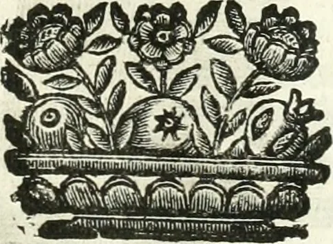 An illustration from Aquila Romana, ouero, Monarchia occidentale da Carlo Magno d'Occidente imperador primo : sino alla coronatione del glorioso Leopoldo Primo : tutti con le loro effigie dal naturale, aggiontiui li geroglifici ed allegorie, inuentione dell' autore, 1679, leaf 44