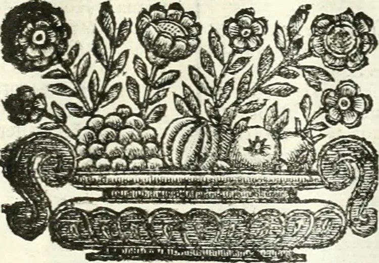 An illustration from Aquila Romana, ouero, Monarchia occidentale da Carlo Magno d'Occidente imperador primo : sino alla coronatione del glorioso Leopoldo Primo : tutti con le loro effigie dal naturale, aggiontiui li geroglifici ed allegorie, inuentione dell' autore, 1679, leaf 66
