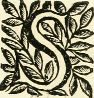 An illustration from Aquila Saxonica : sub qua imperatores Saxones ab Henrico Aucupe, vsquè ad Henricum Sanctum Occidentis imperatorem XV. elogiis, hieroglyphicis, numismatibus, insignibus, symbolis, imaginibus antiquis ad viuum exhibentur exculpti, & longa historiarum serie exarati : vt nihil relictum sit, quod prisci, vel hodierni habeant annales, sed diplomata, leges, indulta, genealogiae, donationes, priuilegia offeruntur congesta : accedit cuique Caesarum tractatus sacrolegalis & historicopoliticus ..., 1673, leaf 10