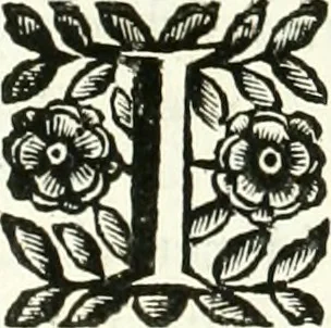 An illustration from Aquila Saxonica : sub qua imperatores Saxones ab Henrico Aucupe, vsquè ad Henricum Sanctum Occidentis imperatorem XV. elogiis, hieroglyphicis, numismatibus, insignibus, symbolis, imaginibus antiquis ad viuum exhibentur exculpti, & longa historiarum serie exarati : vt nihil relictum sit, quod prisci, vel hodierni habeant annales, sed diplomata, leges, indulta, genealogiae, donationes, priuilegia offeruntur congesta : accedit cuique Caesarum tractatus sacrolegalis & historicopoliticus ..., 1673, leaf 173