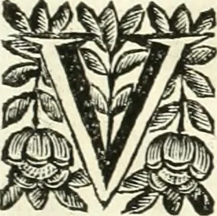 An illustration from Aquila Saxonica : sub qua imperatores Saxones ab Henrico Aucupe, vsquè ad Henricum Sanctum Occidentis imperatorem XV. elogiis, hieroglyphicis, numismatibus, insignibus, symbolis, imaginibus antiquis ad viuum exhibentur exculpti, & longa historiarum serie exarati : vt nihil relictum sit, quod prisci, vel hodierni habeant annales, sed diplomata, leges, indulta, genealogiae, donationes, priuilegia offeruntur congesta : accedit cuique Caesarum tractatus sacrolegalis & historicopoliticus ..., 1673, leaf 212