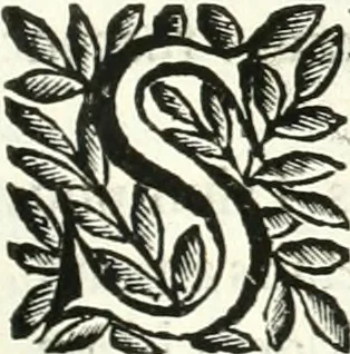 An illustration from Aquila Saxonica : sub qua imperatores Saxones ab Henrico Aucupe, vsquè ad Henricum Sanctum Occidentis imperatorem XV. elogiis, hieroglyphicis, numismatibus, insignibus, symbolis, imaginibus antiquis ad viuum exhibentur exculpti, & longa historiarum serie exarati : vt nihil relictum sit, quod prisci, vel hodierni habeant annales, sed diplomata, leges, indulta, genealogiae, donationes, priuilegia offeruntur congesta : accedit cuique Caesarum tractatus sacrolegalis & historicopoliticus ..., 1673, leaf 244