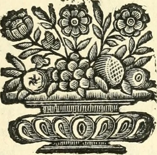 An illustration from Aquila Saxonica : sub qua imperatores Saxones ab Henrico Aucupe, vsquè ad Henricum Sanctum Occidentis imperatorem XV. elogiis, hieroglyphicis, numismatibus, insignibus, symbolis, imaginibus antiquis ad viuum exhibentur exculpti, & longa historiarum serie exarati : vt nihil relictum sit, quod prisci, vel hodierni habeant annales, sed diplomata, leges, indulta, genealogiae, donationes, priuilegia offeruntur congesta : accedit cuique Caesarum tractatus sacrolegalis & historicopoliticus ..., 1673, leaf 50