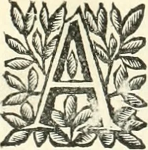 An illustration from Aquila Saxonica : sub qua imperatores Saxones ab Henrico Aucupe, vsquè ad Henricum Sanctum Occidentis imperatorem XV. elogiis, hieroglyphicis, numismatibus, insignibus, symbolis, imaginibus antiquis ad viuum exhibentur exculpti, & longa historiarum serie exarati : vt nihil relictum sit, quod prisci, vel hodierni habeant annales, sed diplomata, leges, indulta, genealogiae, donationes, priuilegia offeruntur congesta : accedit cuique Caesarum tractatus sacrolegalis & historicopoliticus ..., 1673, leaf 51