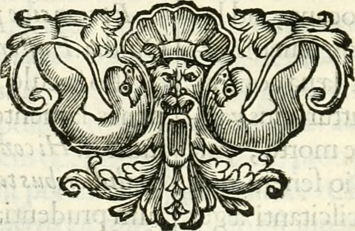 An illustration from Aquila vaga, sub qua ex diuersis nationibus et familijs a VVilhelmo Hollando vsquè ad Sigismundum Lutzelburgium occidentis imperatorem XXXIX. elogijs, hieroglyphicis, numismatibus, insignibus, symbolis, imaginibus antiquis ad viuum exhibentur exculpti, & longa historiarum serie exarati ..., 1679, leaf 311