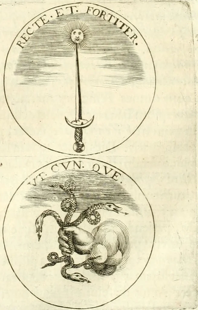 An illustration from Aquila vaga, sub qua ex diuersis nationibus et familijs a VVilhelmo Hollando vsquè ad Sigismundum Lutzelburgium occidentis imperatorem XXXIX. elogijs, hieroglyphicis, numismatibus, insignibus, symbolis, imaginibus antiquis ad viuum exhibentur exculpti, & longa historiarum serie exarati ..., 1679, leaf 317