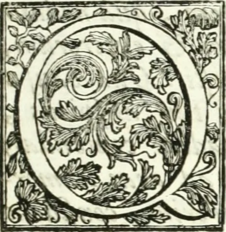 An illustration from Aquila vaga, sub qua ex diuersis nationibus et familijs a VVilhelmo Hollando vsquè ad Sigismundum Lutzelburgium occidentis imperatorem XXXIX. elogijs, hieroglyphicis, numismatibus, insignibus, symbolis, imaginibus antiquis ad viuum exhibentur exculpti, & longa historiarum serie exarati ..., 1679, leaf 6