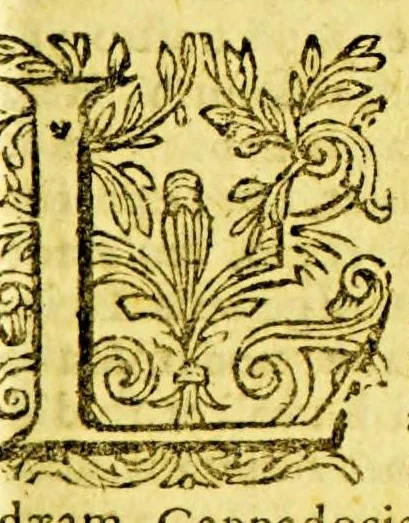 An illustration from Arabia, seu, Arabum vicinarumq[ue] gentium Orientalium leges, ritus, sacri et profani mores, instituta et historia : accedunt praeterea varia per Arabuam itinera, in quibus multa notatu digna enarrantur, 1633, leaf 117