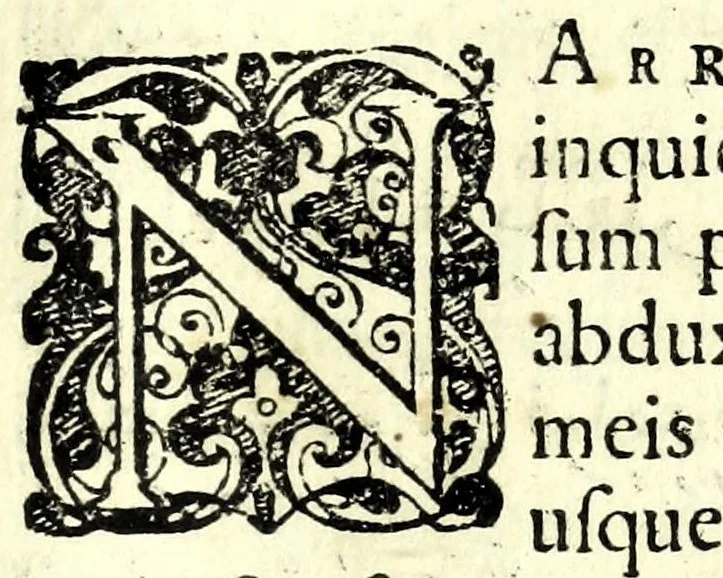 An illustration from Arabicae linguae tyrocinium, Id est, Thomae Erpenii grammatica arabica : cum varia praxios materia, cujus elenchum versa dabit pagella, 1656, leaf 399
