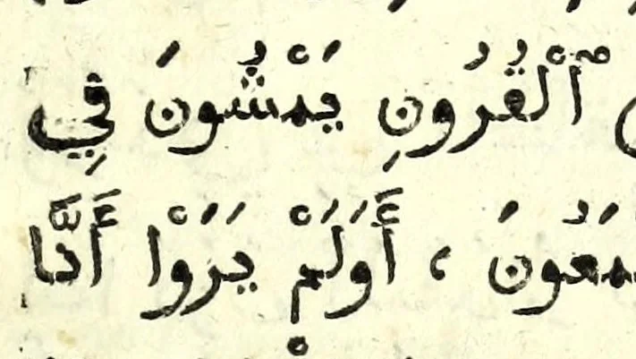 An illustration from Arabicae linguae tyrocinium, Id est, Thomae Erpenii grammatica arabica : cum varia praxios materia, cujus elenchum versa dabit pagella, 1656, leaf 469